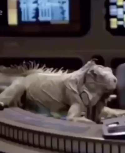 ...Deactivate Iguana