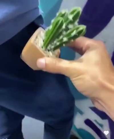 Something in your pocket
