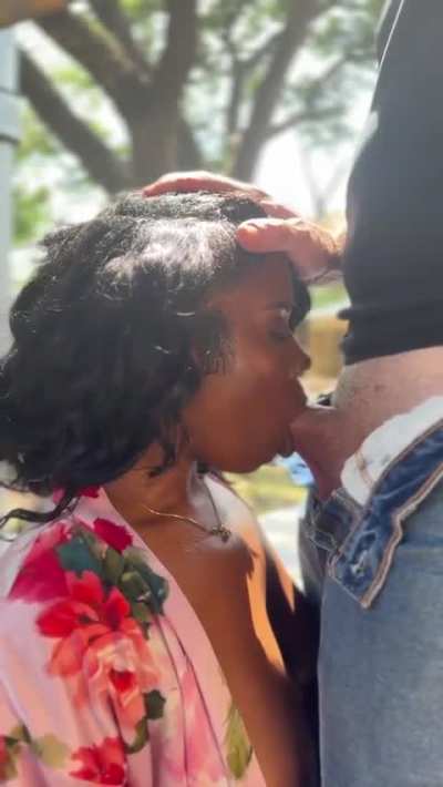 Sensational blowjob 
