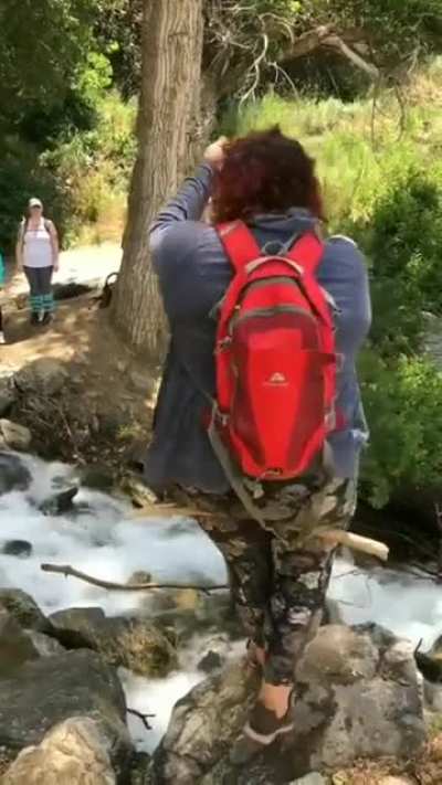 HMF as go across this stream