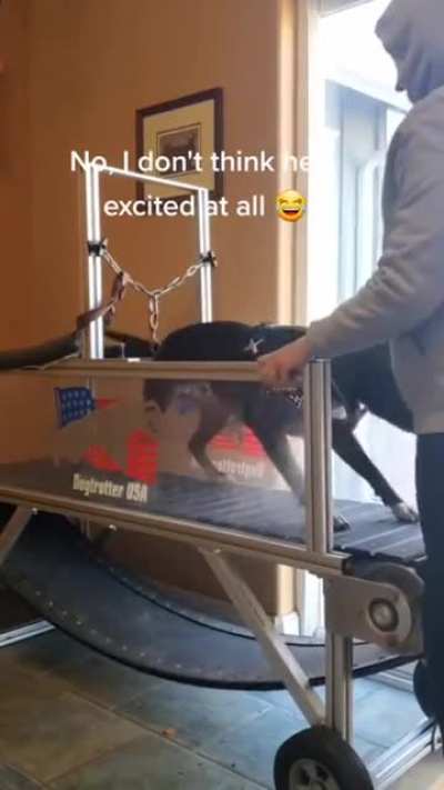 can&rsquo;t contain his excitement