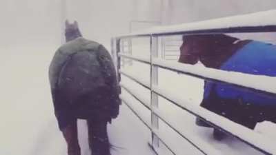 A little too cold