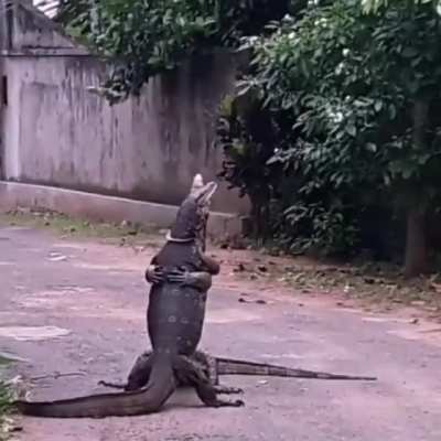 "it's ok buddy.... Everything will be fine, I promise..."