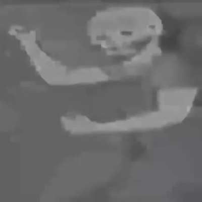 Homunculus little sister isn’t real