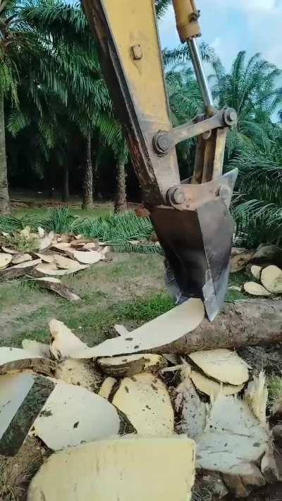Slicey slicey
