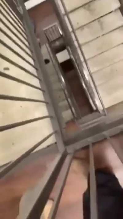 Darwin award winner