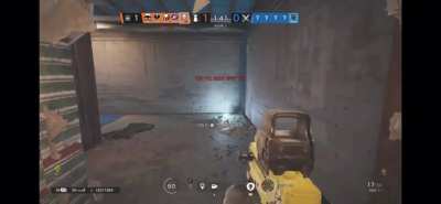 Bait reinforcement Oregon