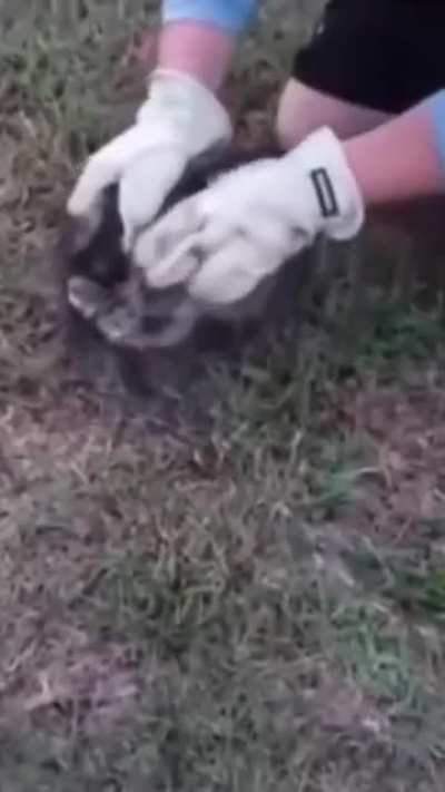 Little guy