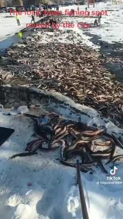South Dakota "engineers" and trout killing
