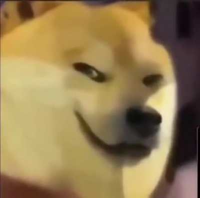 B O N K