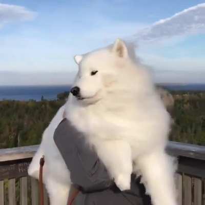 Windy clouds