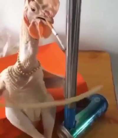 Turk