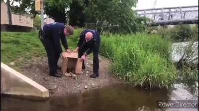 Despicable footage of Thurles Garda&iacute; luring a load of ducks from a river and boxing them up for sale. This needs to stop.