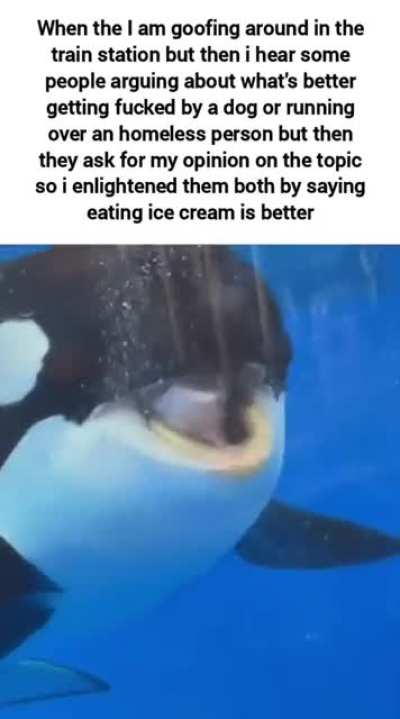 🍨🍨🍨🍨🍨🍨