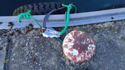 My heart sunk when I found this in Norway.