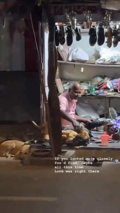 Man's Best Friend 