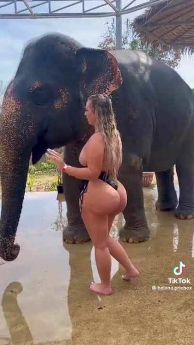Dumptruck