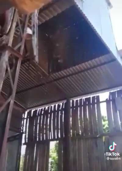 Well that&rsquo;s one way of waking up the bees