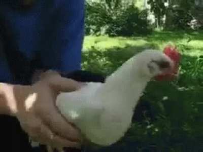 hmmm