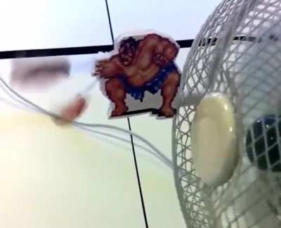 Street Fighter Fan