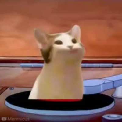 新视频来了