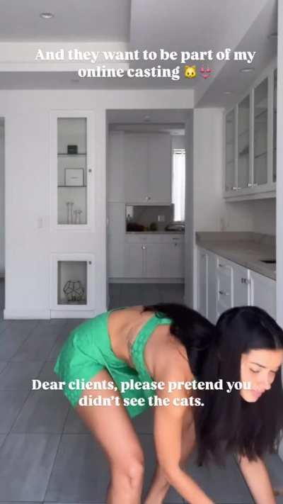 "Cat problem"