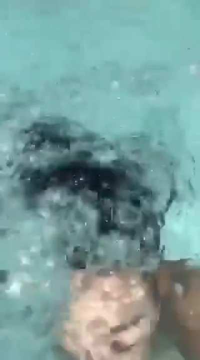 Quick Dip Big Reveal