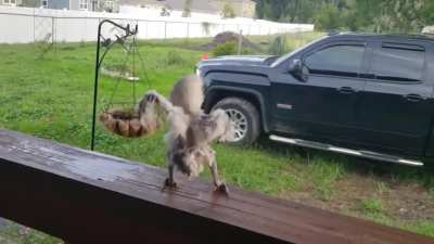 sAtAN Has PoSseSSeD A NEwBorn AnD terRorizes tHe NeighBorHooD