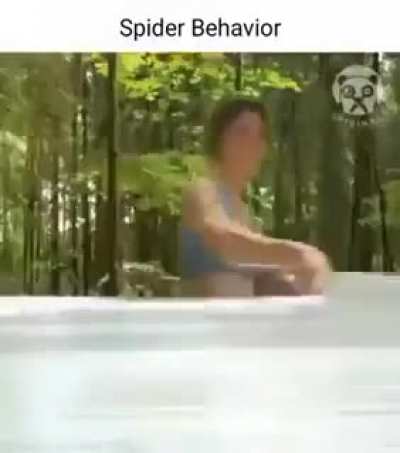 If muffet was a human