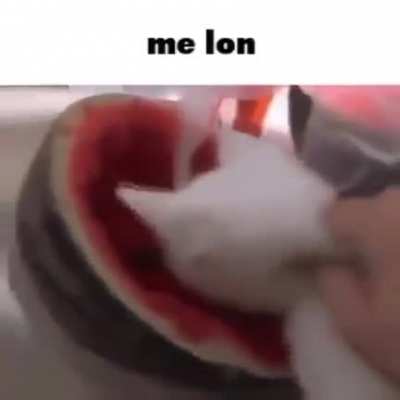 Meelan