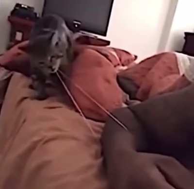 &AElig;