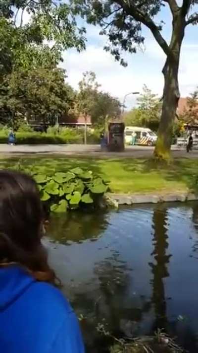 to look cool