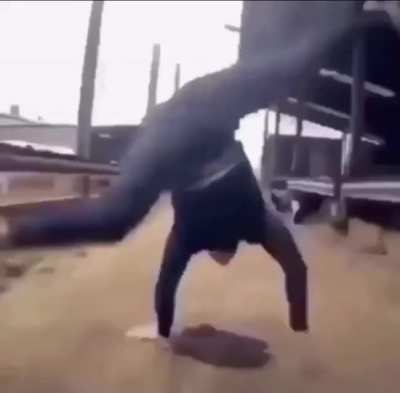 Bust A Move
