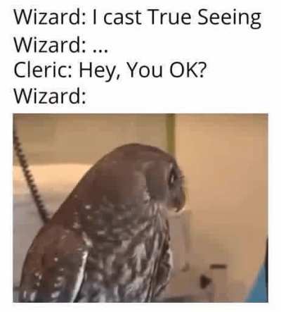 I SEE EVERYTHING