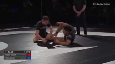 Mica Galvao beating UFC BJJ champion Andrew Tackett at WNO