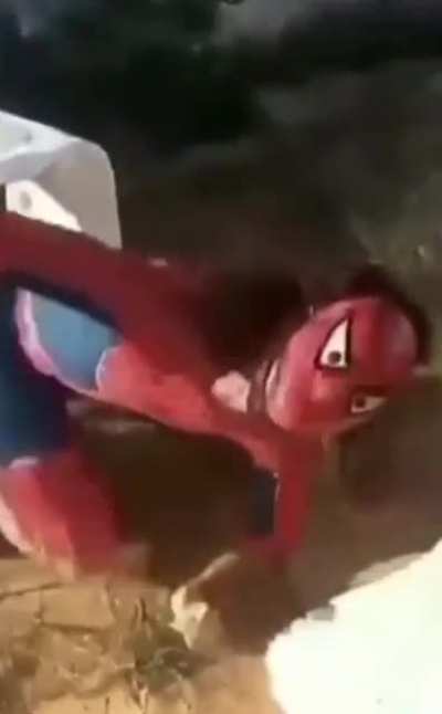o homem Aranha