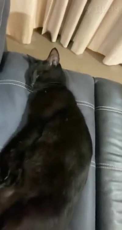 Don’t scare asshole when he sleeps