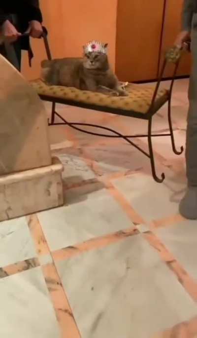 The New King