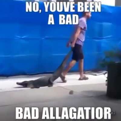 castigao
