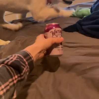 Puppy tasted fizzy water once and now he's afraid of it!