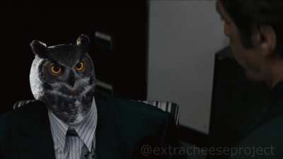 Are you an owl?