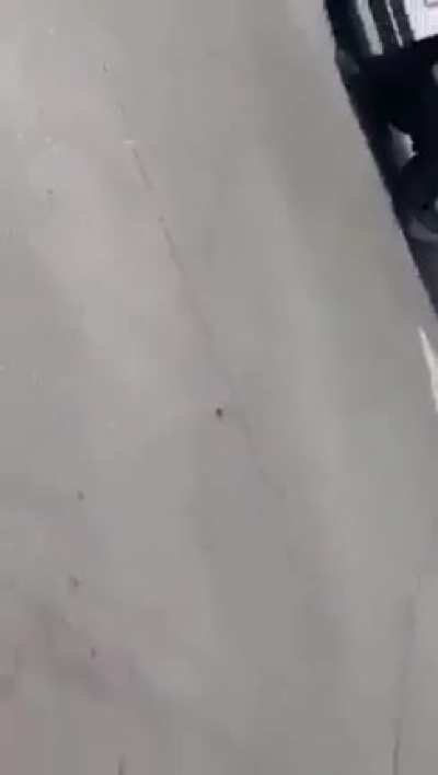 Naked woman steals cops police vehicle and drives off
