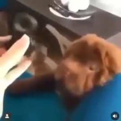 Fidget spinner