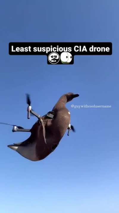 Did the government really think they could fool us? 🤦&zwj;♂️