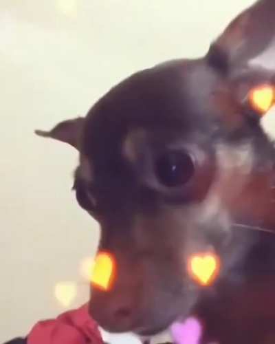 Beijinho