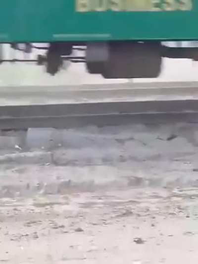 Donkey is too fed up with his life