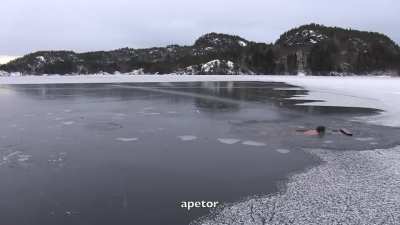 Импортный морж могёт в безудержное веселье