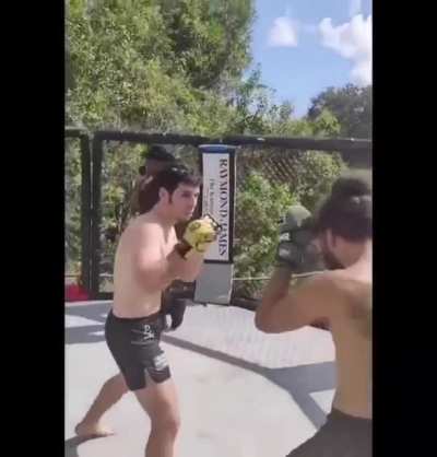 din thomas being herb dean