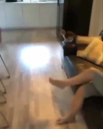 Bad Kitten