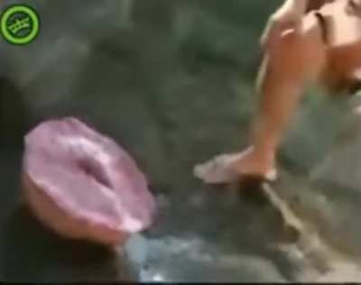 Weird Sea Creature